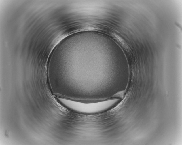 X0000095551178200712281559