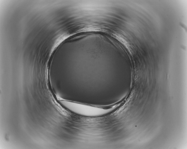 X0000095551179200712281559