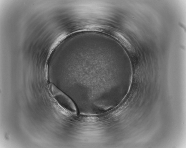 X0000095551180200712281559