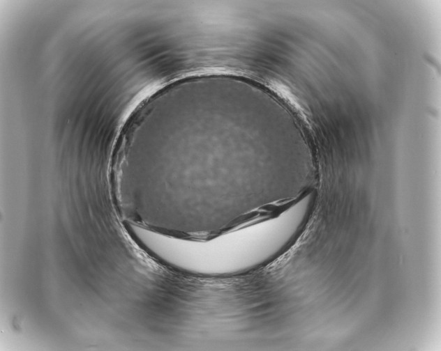 X0000095551181200712281559