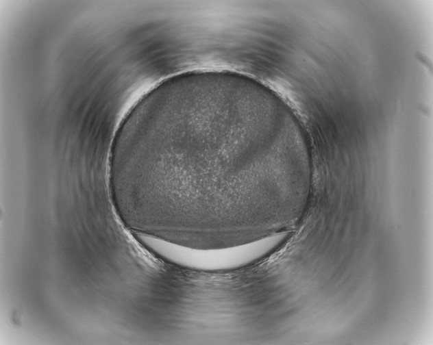 X0000095551183200712281559