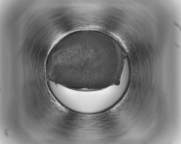 X0000095551184200712281559