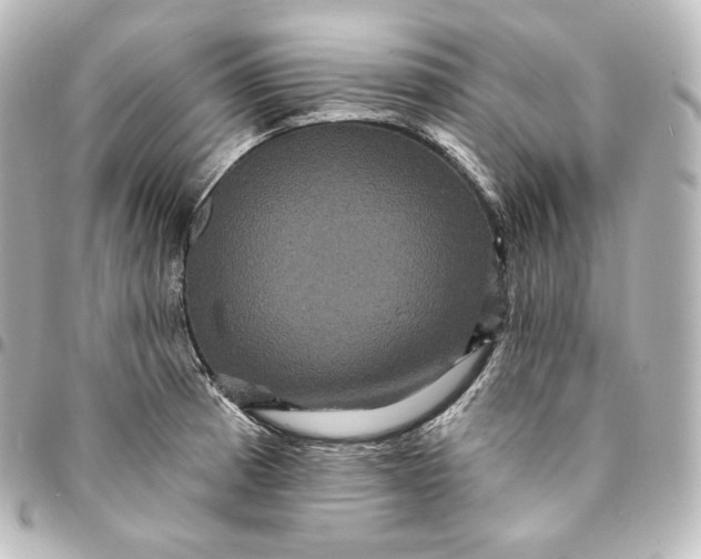 X0000095551185200712281559