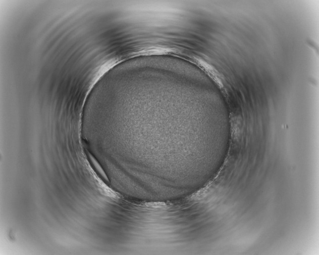 X0000095551186200712281559