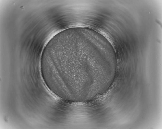 X0000095551187200712281559