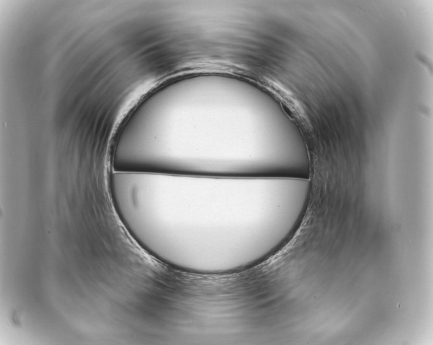 X0000095551188200712281559