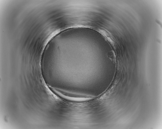 X0000095551189200712281559