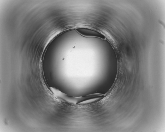 X0000095551190200712281559