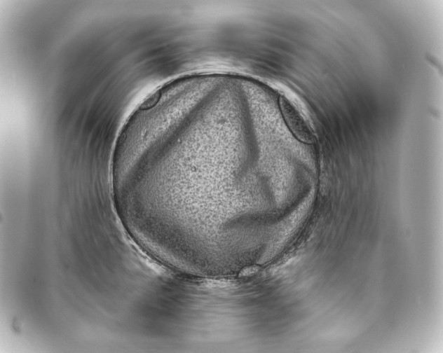 X0000095551191200712281559