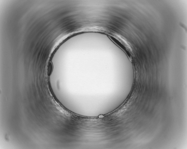 X0000095551192200712281559