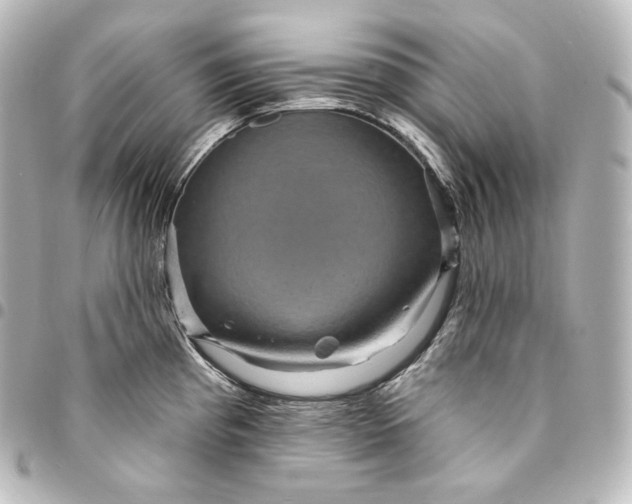 X0000095551193200712281559