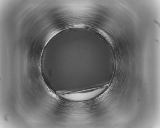 X0000095551194200712281559