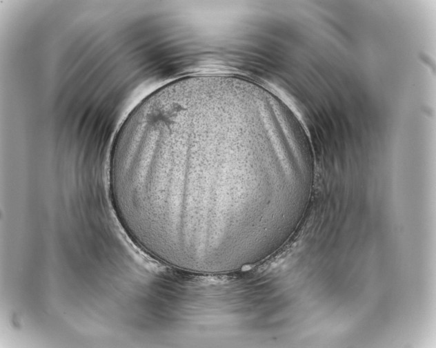 X0000095551195200712281559