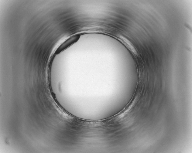 X0000095551196200712281559