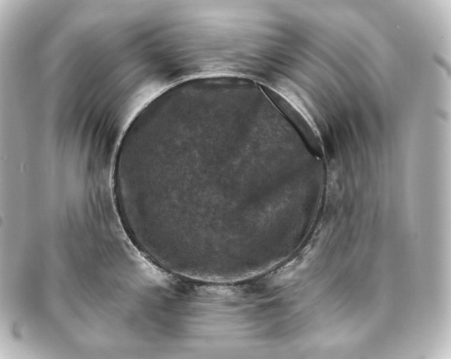 X0000095551197200712281559