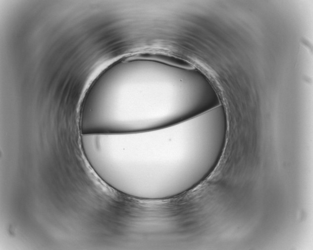 X0000095551200200712281559