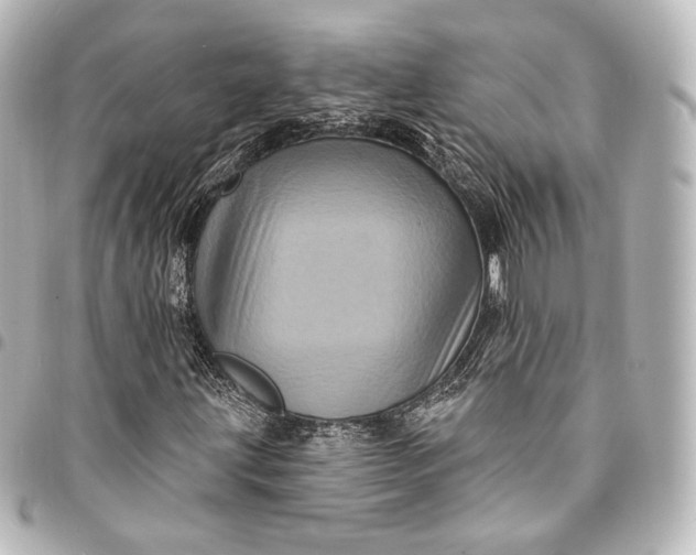 X0000095551203200712281559