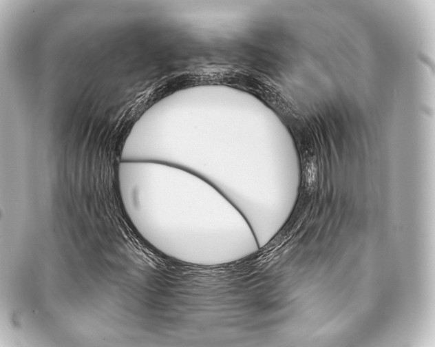 X0000095551204200712281559