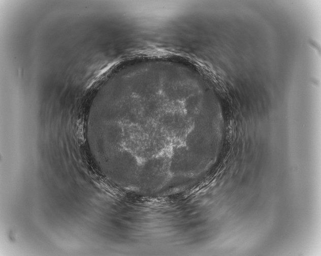 X0000095551205200712281559