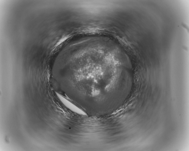 X0000095551206200712281559