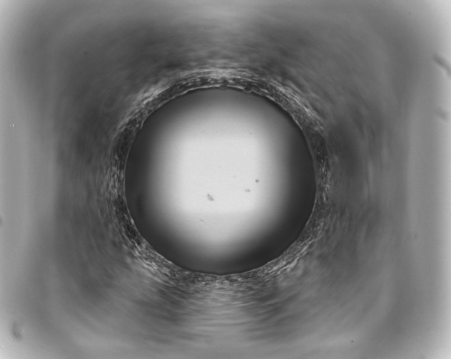 X0000095551207200712281559