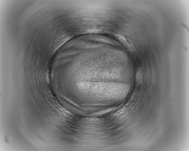 X0000095551209200712281559