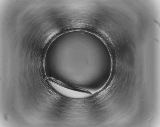 X0000095551210200712281559