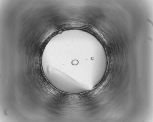 X0000095551211200712281559