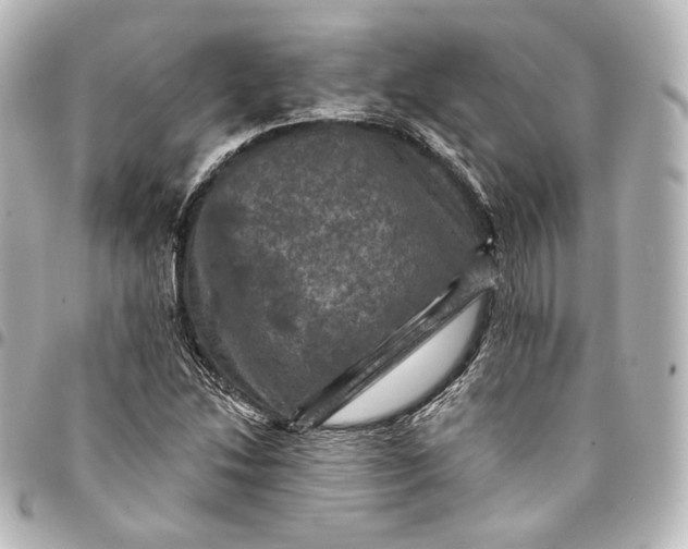 X0000095551214200712281559