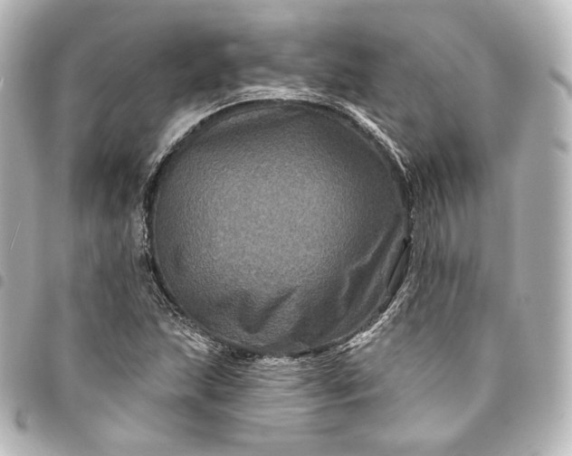 X0000095551215200712281559