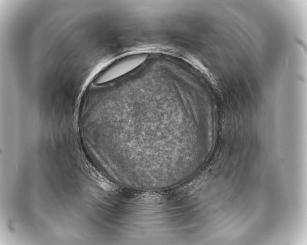 X0000095551216200712281559