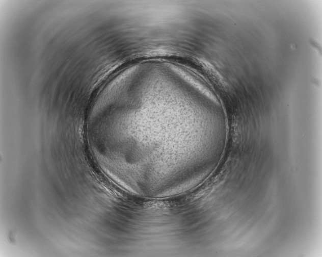 X0000095551217200712281559