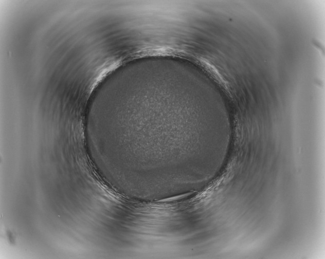 X0000095551218200712281559