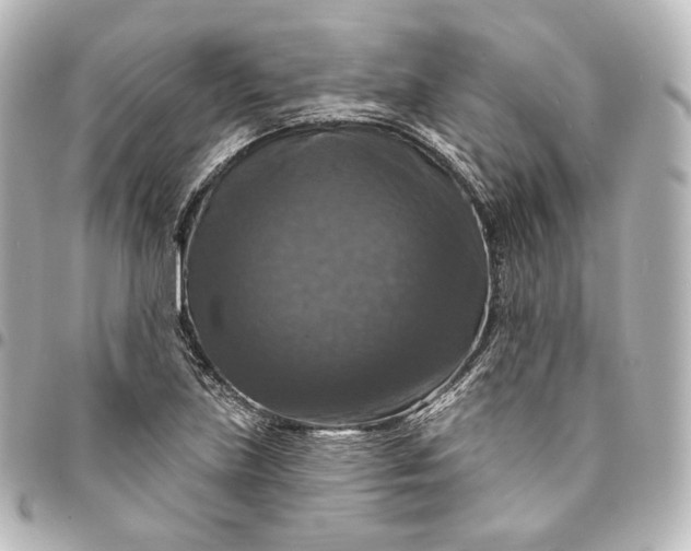 X0000095551219200712281559