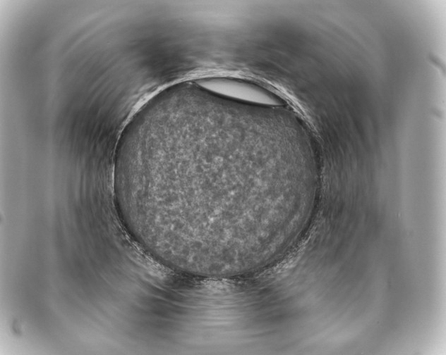 X0000095551220200712281559