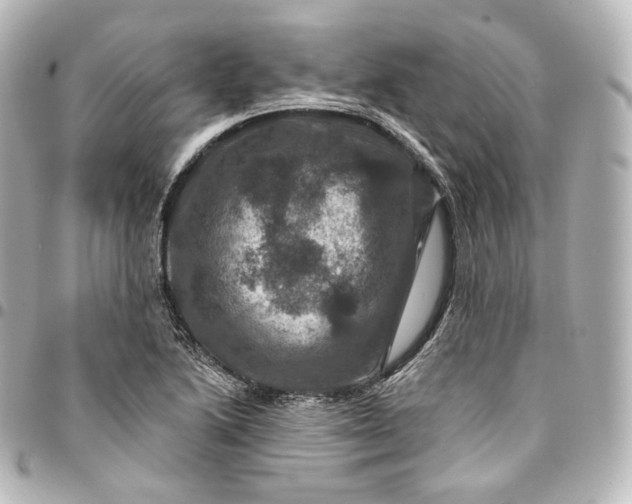 X0000095551222200712281559