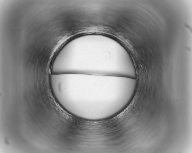 X0000095551224200712281559