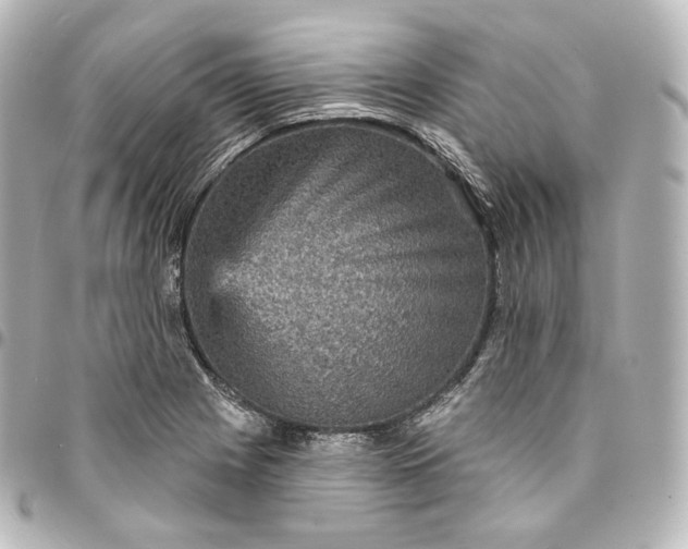 X0000095551225200712281559