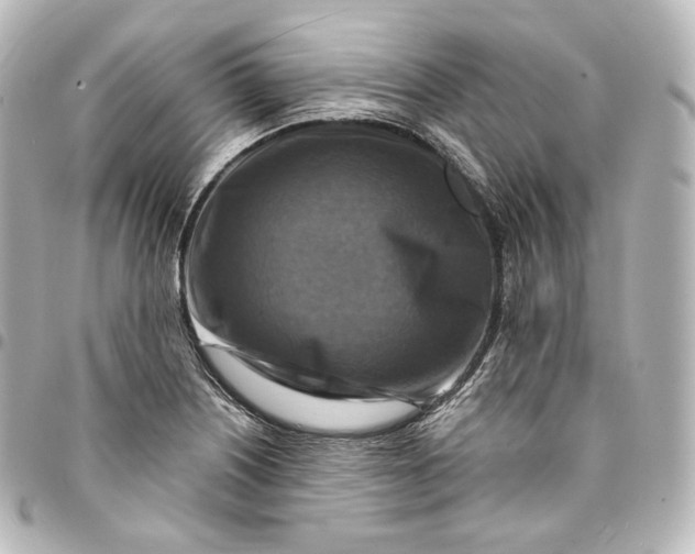 X0000095551226200712281559