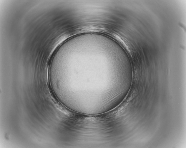 X0000095551227200712281559