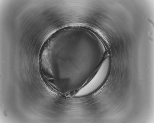 X0000095551229200712281559