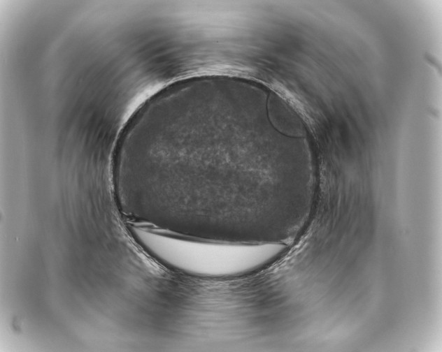 X0000095551230200712281559