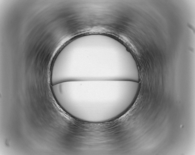 X0000095551232200712281559