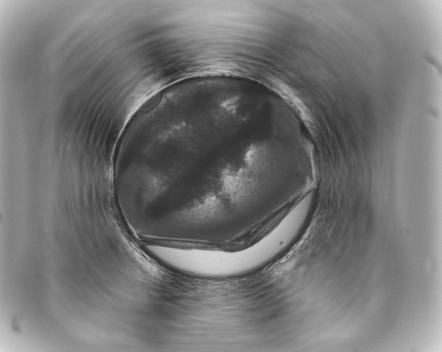 X0000095551234200712281559