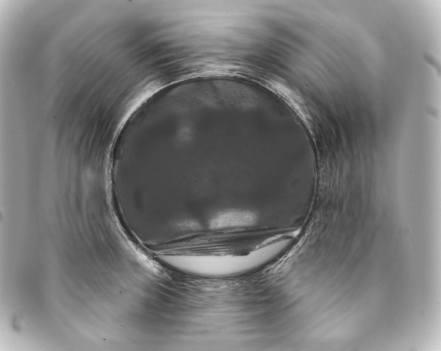 X0000095551235200712281559