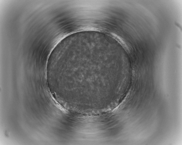 X0000095551236200712281559