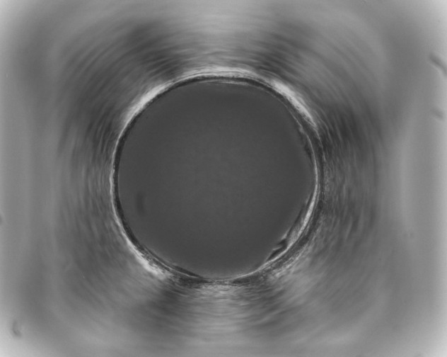 X0000095551237200712281559