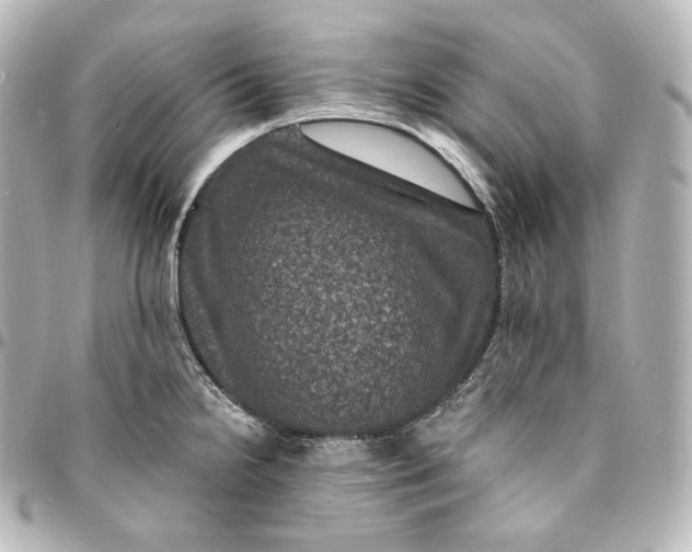 X0000095551238200712281559