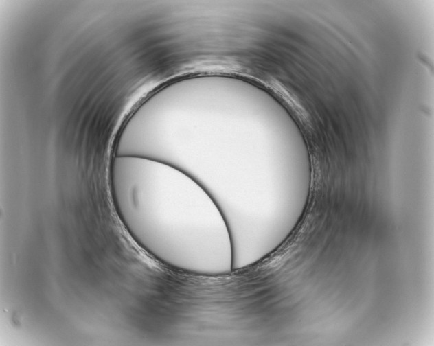 X0000095551240200712281559