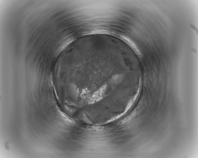 X0000095551241200712281559